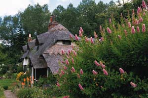 English cottage